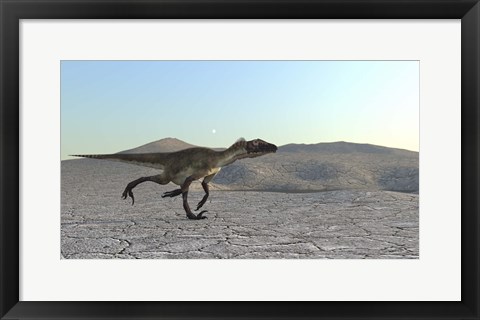 Framed Utahraptor Print