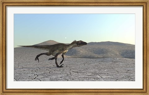 Framed Utahraptor Print