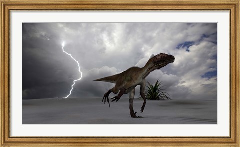 Framed Utahraptor Running Across a Desert Print
