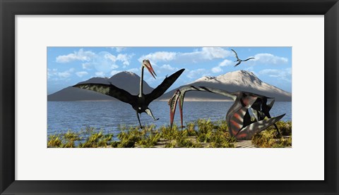 Framed Gigantic Quetzalcoatlus pterosaurs Print