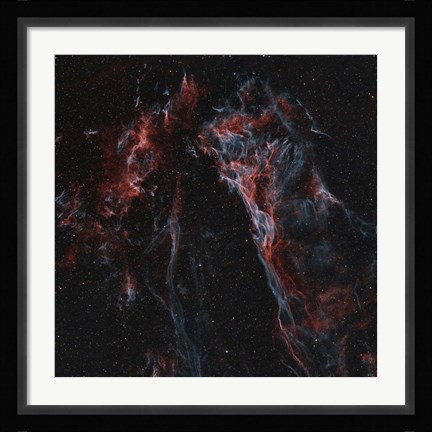 Framed Pickering's Triangular Wisp Print