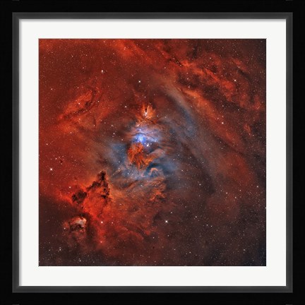 Framed Christmas Tree Nebula Print