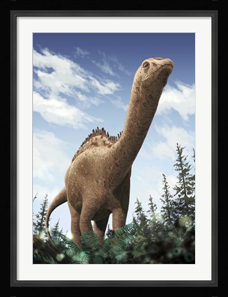 Framed Demandasaurus Print