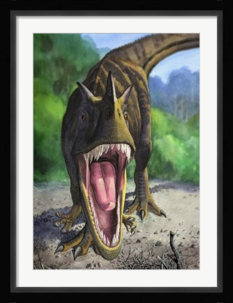 Framed Ceratosaurus Dentisulcatus Print