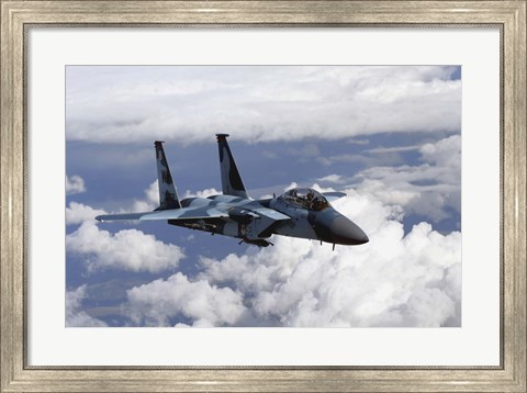 Framed F-15C Aggressor Print