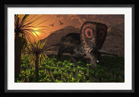 Framed Lone Torosaurus Dinosaur Print