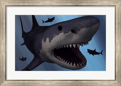 Framed Megalodon Shark Print