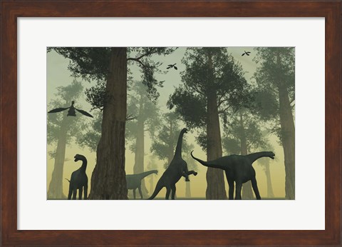 Framed Camarasaurus Dinosaurs Print