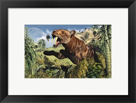 Framed Sabre Tooth Tiger Hunting Print