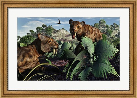 Framed Sabre-Toothed Tigers in Pleistocene Time Print