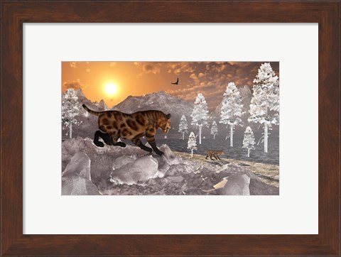 Framed Sabre Tooth Tigers in Winter Print