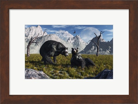 Framed Arctodus Bears Print