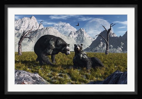 Framed Arctodus Bears Print