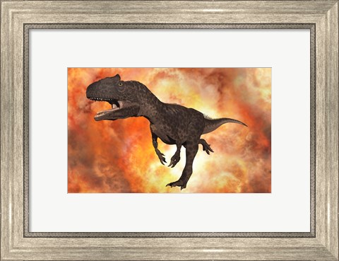 Framed Carnivorous Allosaurus Print