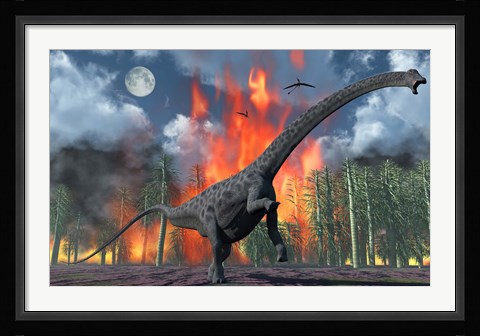 Framed Diplodocus Sauropod Dinosaur Print