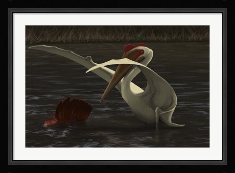 Framed Quetzalcoatlus Print