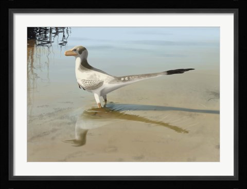 Framed Bambiraptor Feinbergi Print