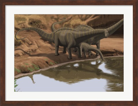 Framed Apatosaurus Dinosaurs Print