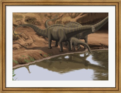 Framed Apatosaurus Dinosaurs Print