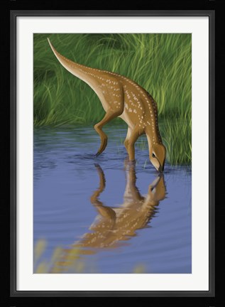 Framed Hypsilophodon Print