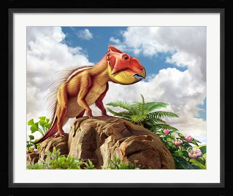 Framed Leptoceratops Print