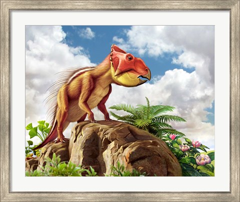 Framed Leptoceratops Print