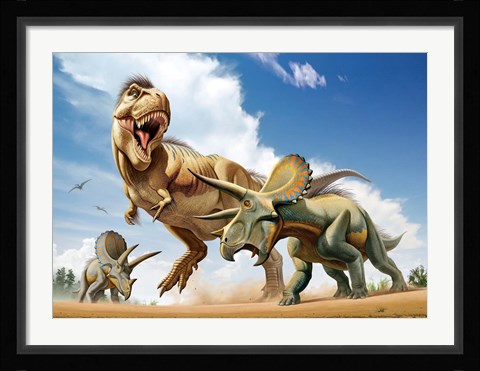 Framed Tyrannosaurus Rex Fighting aTriceratops Print