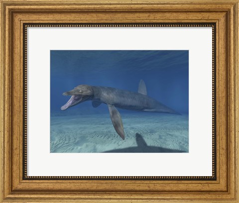 Framed Pliosaurus Kevani Print