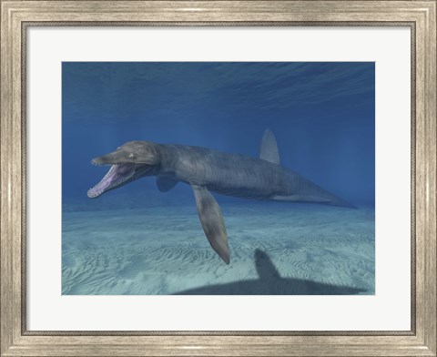 Framed Pliosaurus Kevani Print