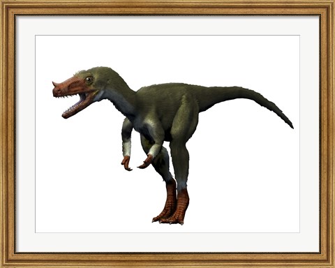 Framed Proceratosaurus Dinosaur Print