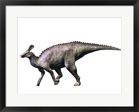 Framed Tsintaosaurus Dinosaur Print