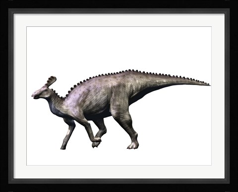 Framed Tsintaosaurus Dinosaur Print