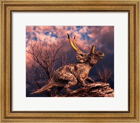 Framed Diabloceratops Print