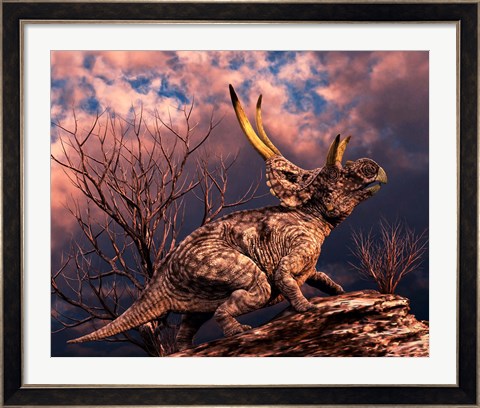 Framed Diabloceratops Print