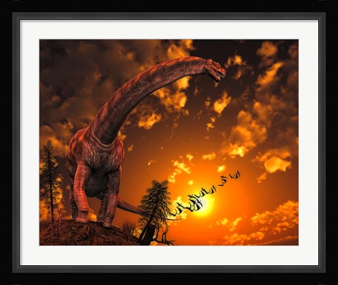 Framed Argentinosaurus Print