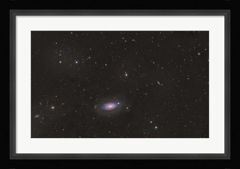 Framed Sunflower Galaxy Print