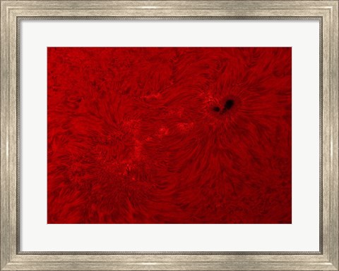Framed H-alpha Sun in Red Print