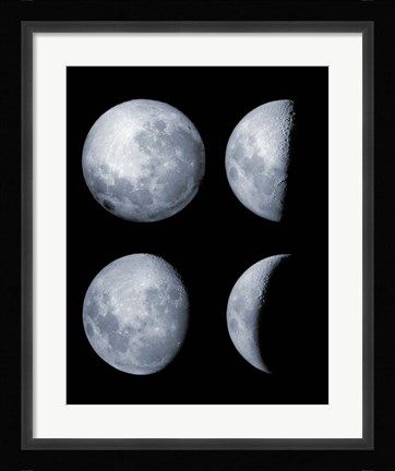 Framed Four Phases of the Moon Print