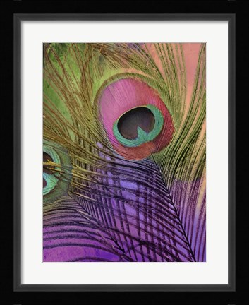 Framed Peacock Candy III Print