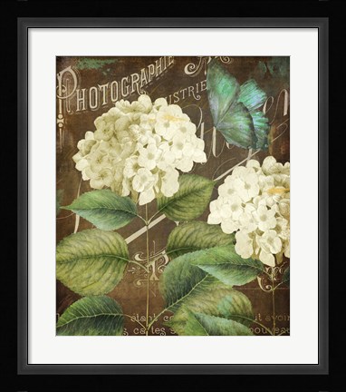 Framed Alabaster Hydrangea Print