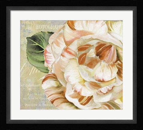 Framed Camellias I Print