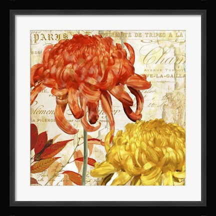 Framed Chrysanthemes I Print
