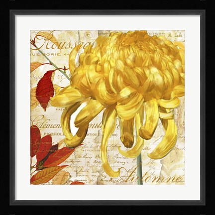 Framed Chrysanthemes II Print