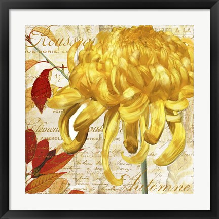 Framed Chrysanthemes II Print