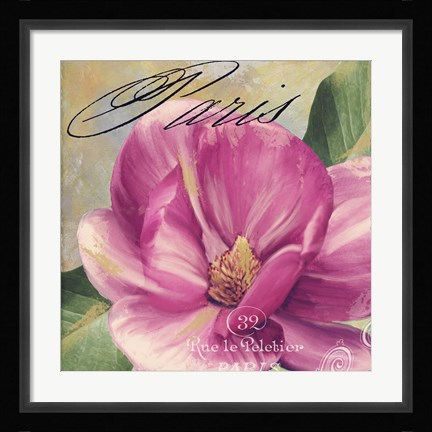 Framed Pink Magnolia I Print