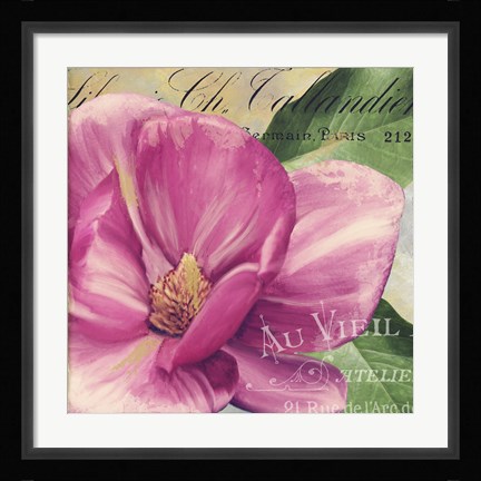 Framed Pink Magnolia II Print
