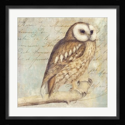 Framed White-Faced Owl Print