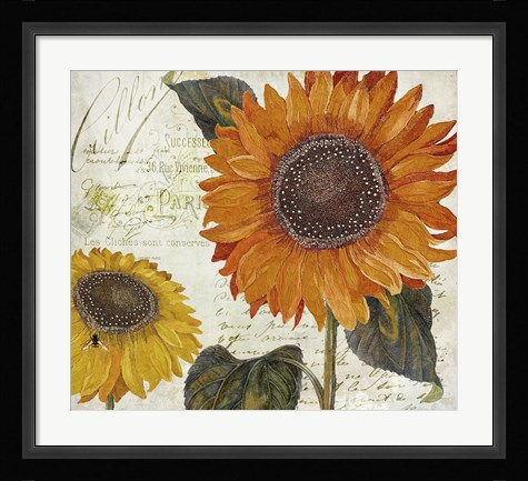 Framed Sundresses II Print