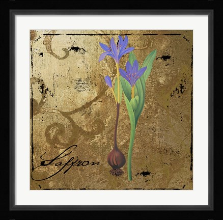 Framed Black Gold Herbs II Print