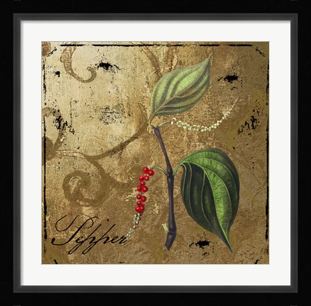 Framed Black Gold Herbs III Print